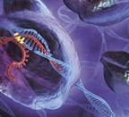 Quark: CRISPR, genoma editatzeko teknika eta patenteak