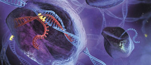 Quark: CRISPR, genoma editatzeko teknika eta patenteak