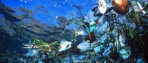 “Desde hace años el agua de mar contiene mucho más plástico que plancton”
