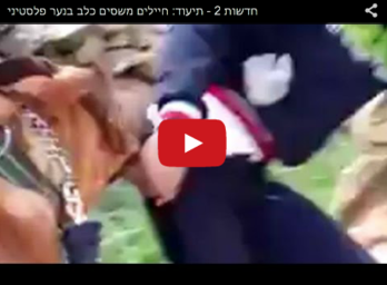 El perro del Ejército israelí mordiendo al joven. (YOUTUBE)