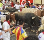 La Feria del Toro celebra los 50 años de presencia de Miura