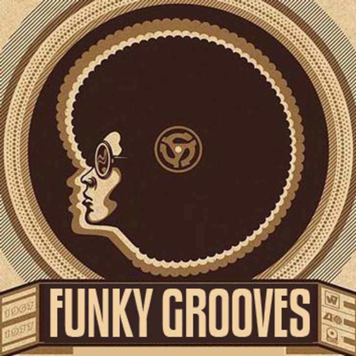 Funky Groove & Disco musika Revolutionary Grooves irratsaioan
