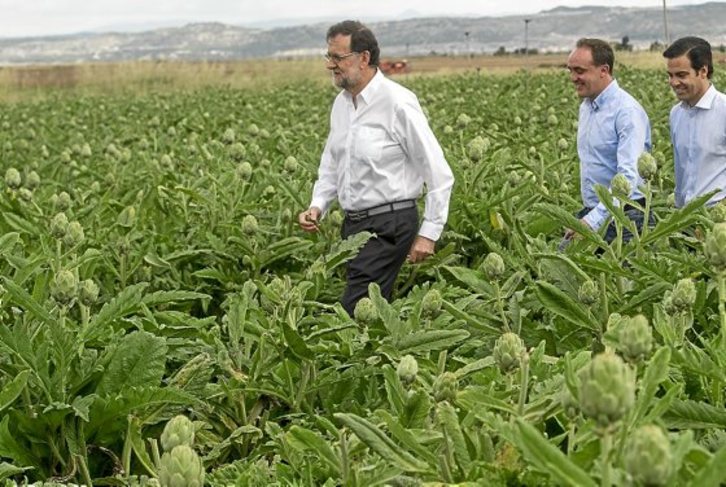 Rajoy camina por un campo de alcachofas en Tutera. (Jagoba MANTEROLA / ARGAZKI PRESS)