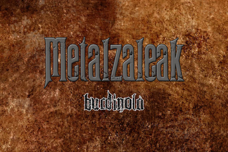 Metalzaleak