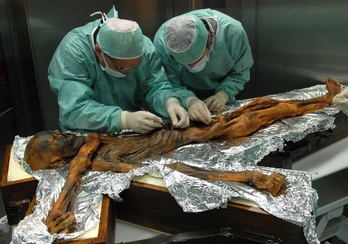 El primer análisis en profundidad del contenido estomacal de Ötzi, el cadáver momificado por el frío durante 5.300 años, hallado en 1991 en un glaciar alpino, comió por última vez alimentos ricos en grasa. 
