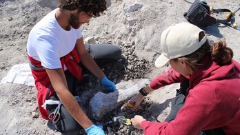 Han participado ocho paleontólogos y arqueólogos en la excavación.