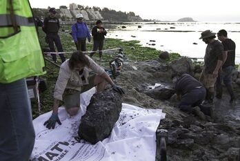 Paleontólogos trabajan en la recuperación de los restos.